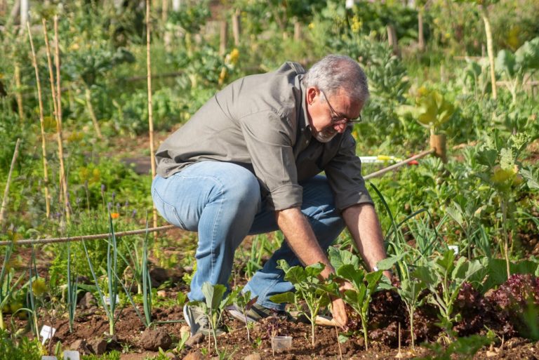 Transform Your Yard with Outdoor Gardening Tips for Every Season
