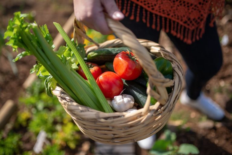 Transform Your Yard with Creative Outdoor Gardening Ideas