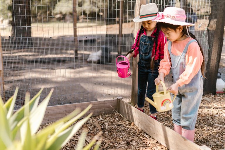 Essential Outdoor Gardening Tips for a Flourishing Green Space