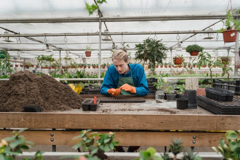Seasonal Outdoor Gardening: What to Plant and When